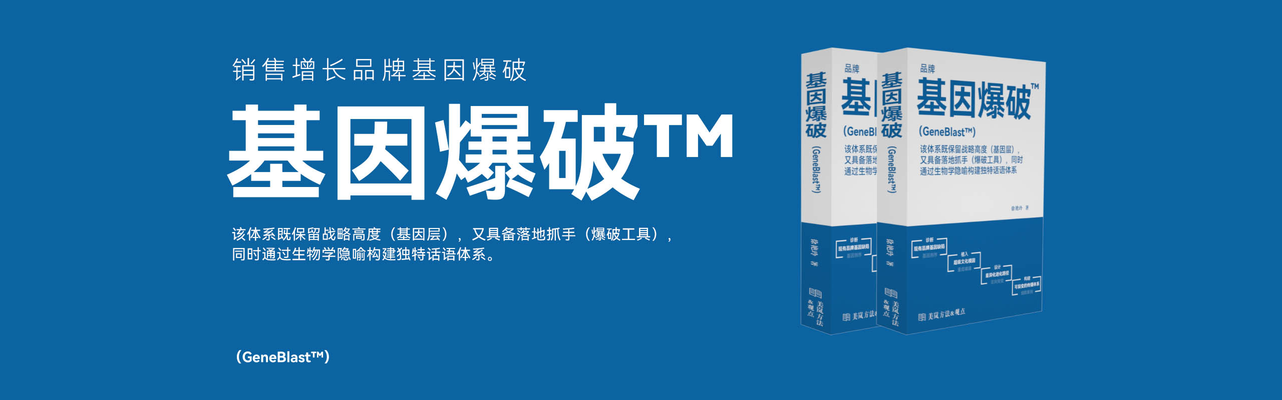 品牌全案策划